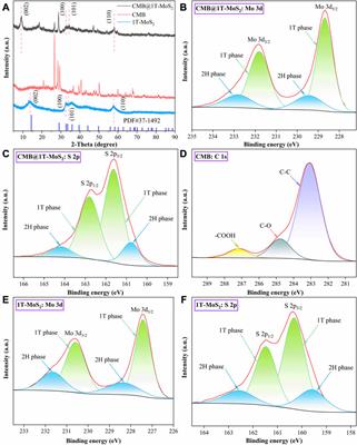 Activation of peroxymonosulfate by cow manure biochar@1T-MoS2 for enhancing degradation of dimethyl phthalate: Performance and mechanism